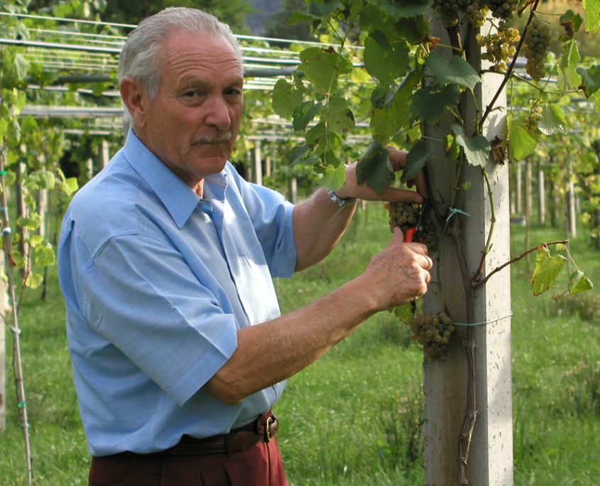 Gonzalo Ozores de Urcola